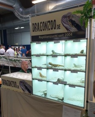 Wir stellen auf der Reptilienbörse in Hamm NICHT mehr  aus.