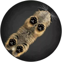 Profilbild von „Sabrina, Pascale R.“